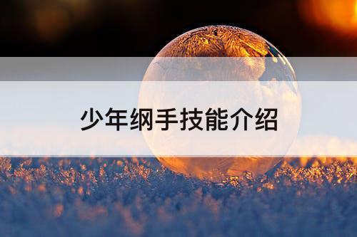 少年纲手技能介绍
