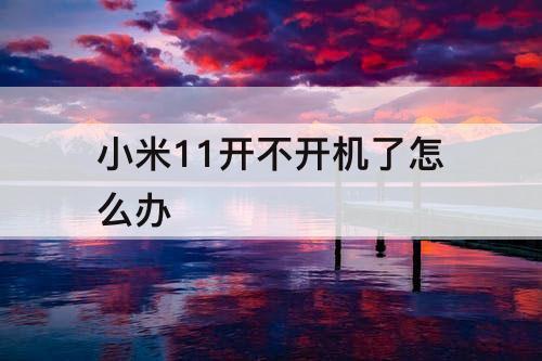 小米11开不开机了怎么办