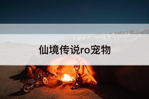 仙境传说ro宠物