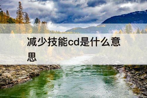 减少技能cd是什么意思