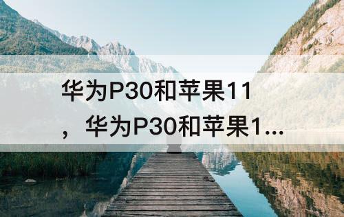 华为P30和苹果11，华为P30和苹果11那个拍照好