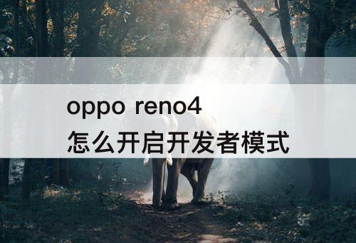 oppo reno4怎么开启开发者模式
