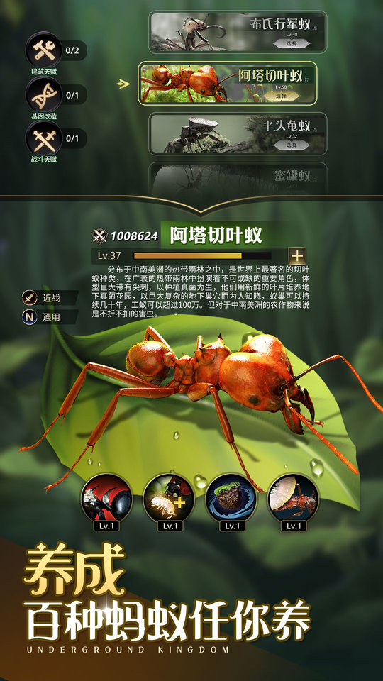 小小蚁国37手游下载  v1.49.0图2