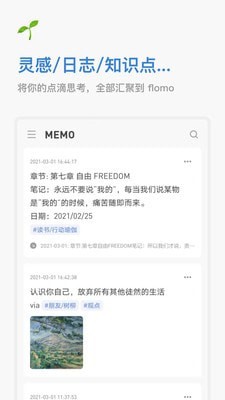 flomo官网下载