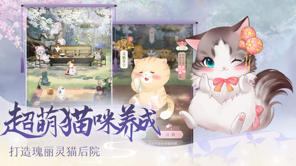 灵猫传手机版  v1.1.96图2